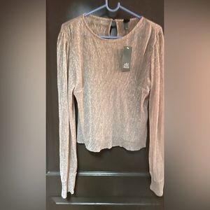 Champagne Shimmery Long Sleeve Top